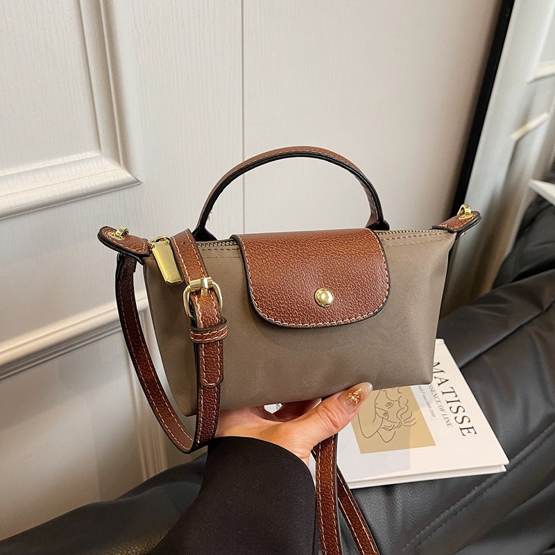 fashionable crossbody dumpling bag
